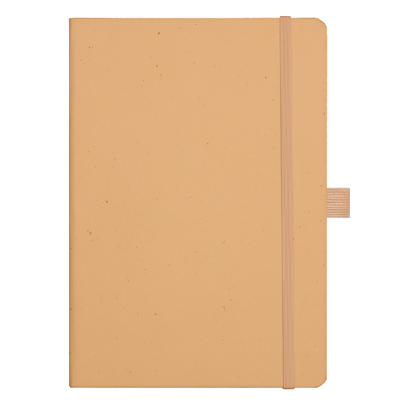 Блокнот Forest  Alfa Polo Recycled Paper А5, недатированный, в твердой обложке, с резинкой и петлей для ручки,  натуральный (крафтовый)