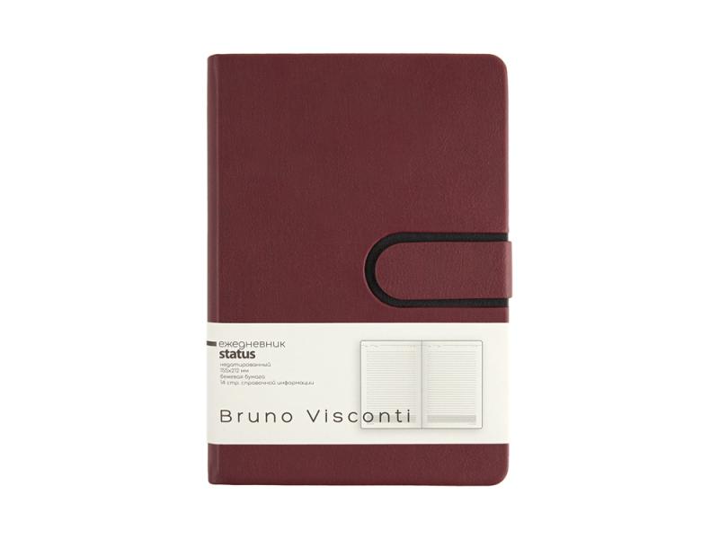Ежедневник недатированный А5 Status