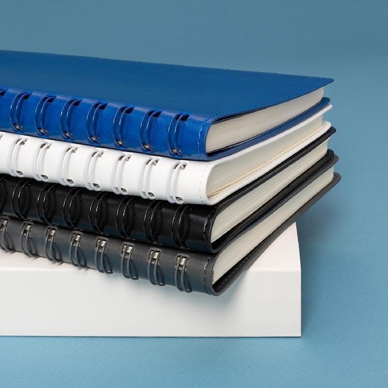 Ежедневник Vista Neo недатированный