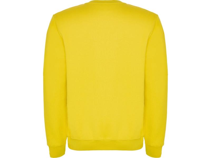 Свитшот с начесом Clasica детский