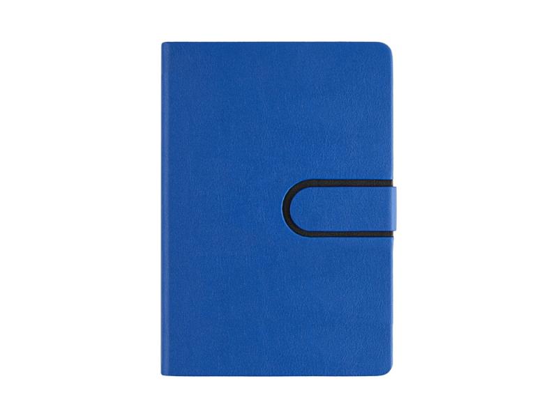 Ежедневник недатированный А5 Status