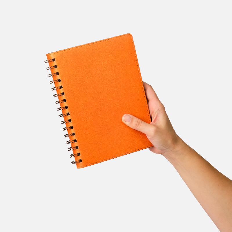 Ежедневник Vista недатированный, 