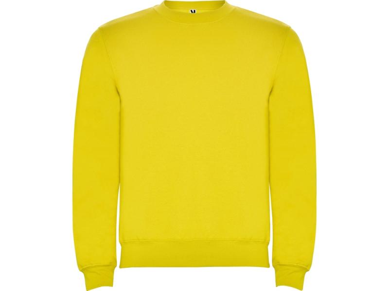 Свитшот с начесом Clasica детский