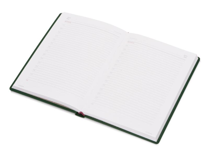 Ежедневник недатированный А5 Velvet