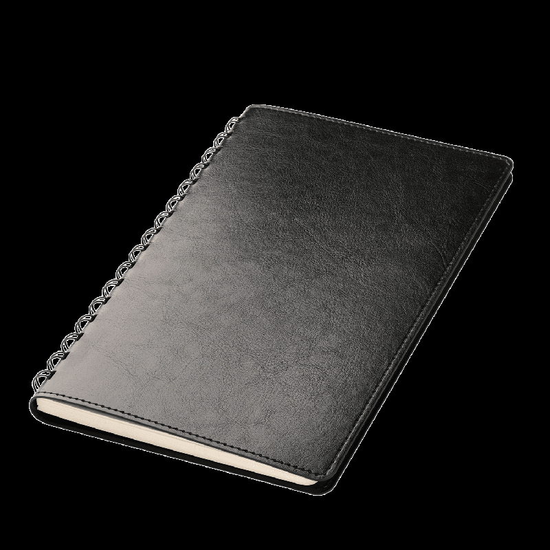 Ежедневник Vista Neo недатированный