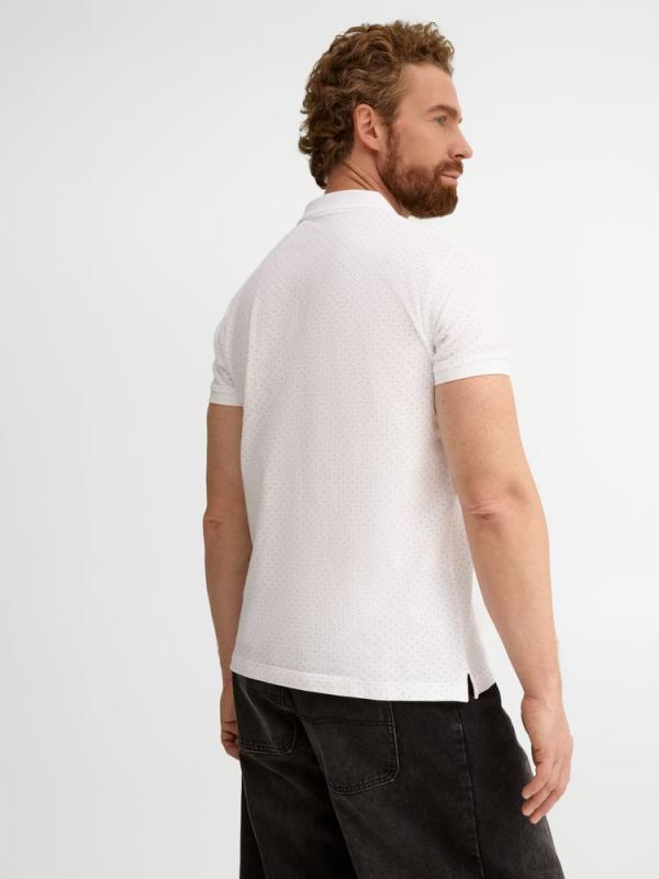 Рубашка поло мужская Brandy Men