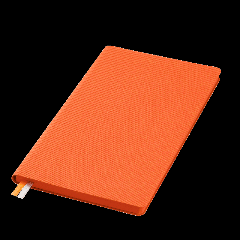 Ежедневник Рейн (Rain) недатированный,  (без упаковки, без стикера)