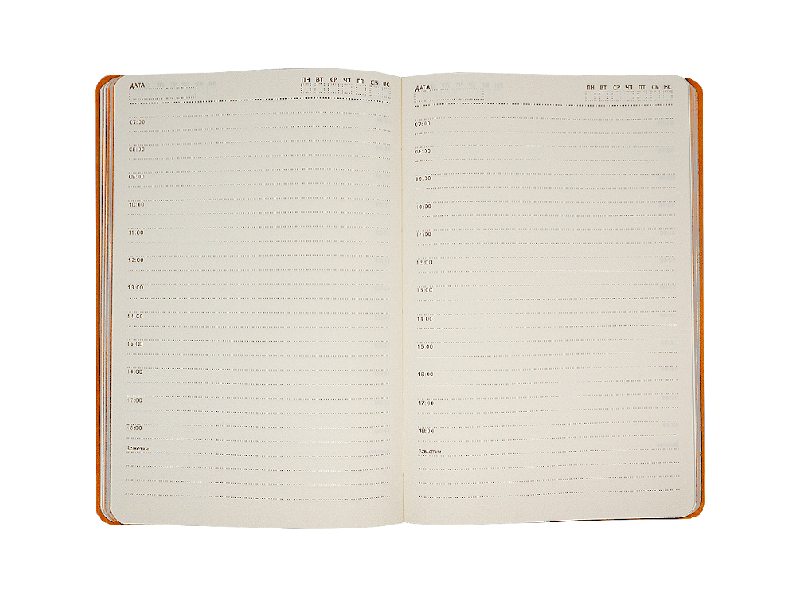 Ежедневник Flexy Sand А5, недатированный, в гибкой обложке