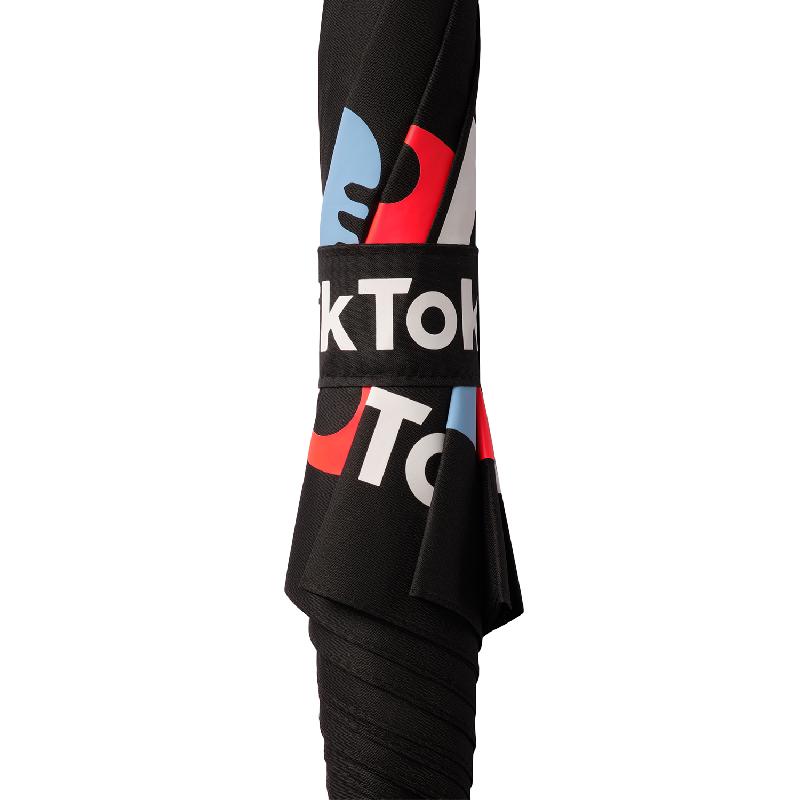 Зонт-трость, Bergwind