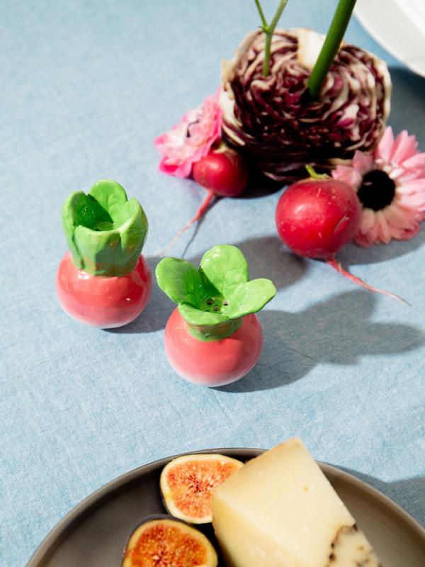 Набор из солонки и перечницы radish