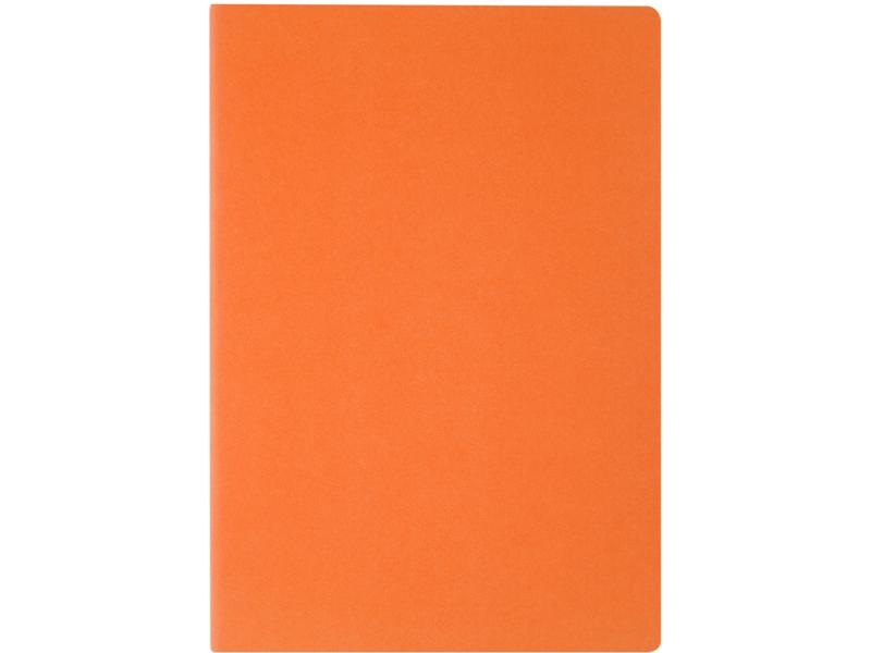 Бизнес-тетрадь А4 Pragmatic