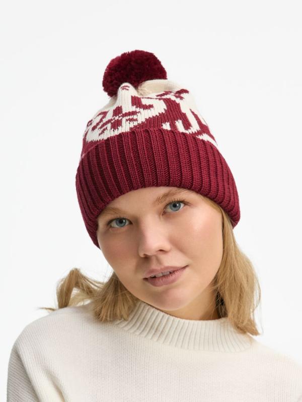 Шапка Wintertude