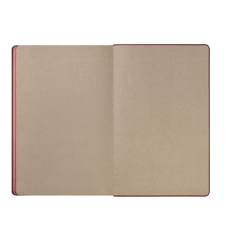 Ежедневник Рейн (Rain) недатированный,  (без упаковки, без стикера)