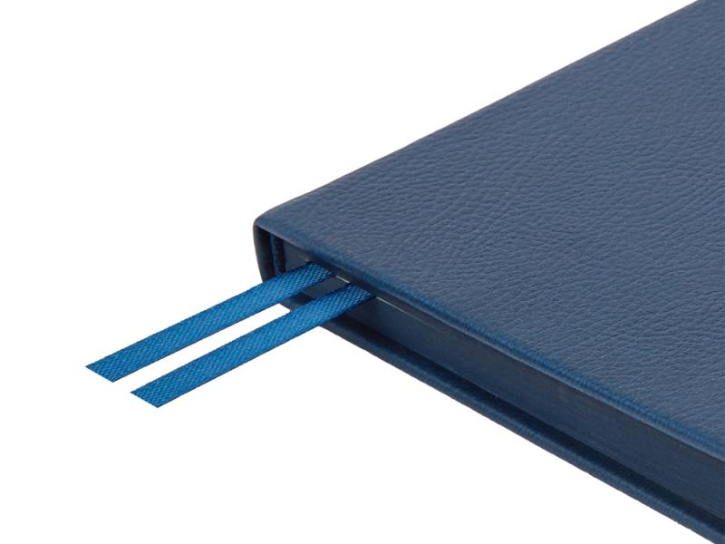 Ежедневник недатированный А5 Megapolis Nappa