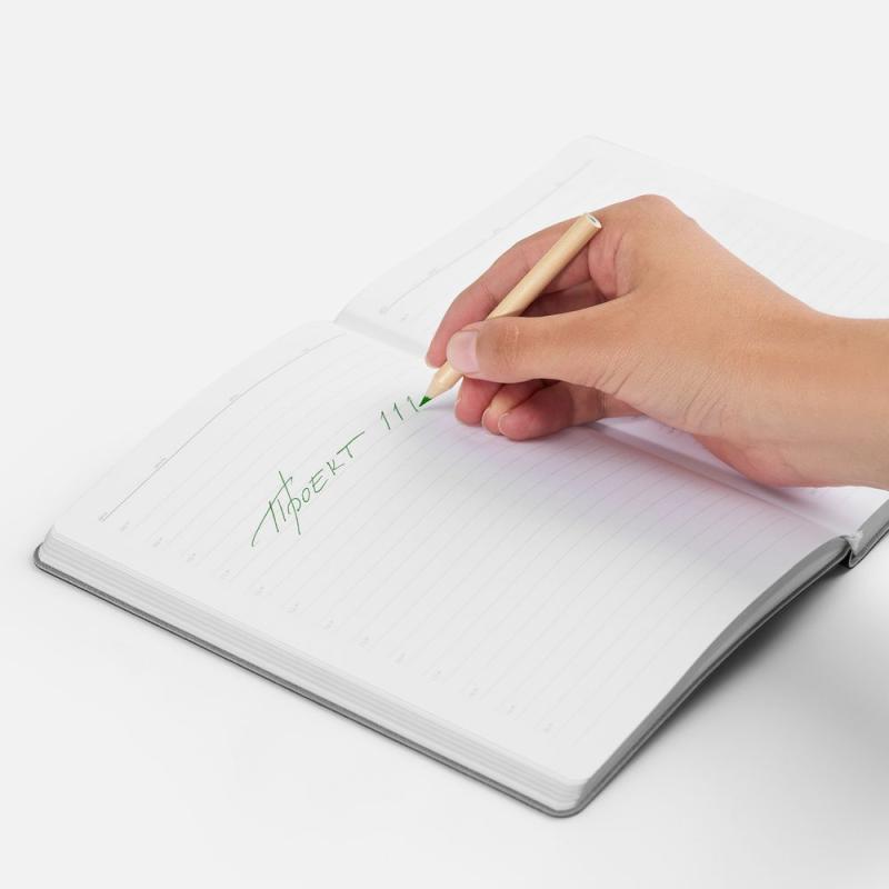 Набор цветных карандашей Pencilvania Mini