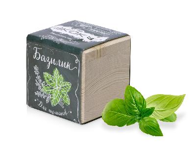 Набор для выращивания Базилик