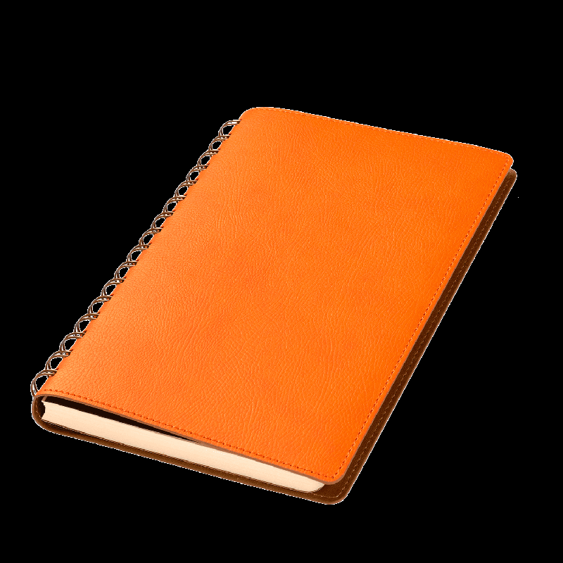 Ежедневник Vista недатированный, 