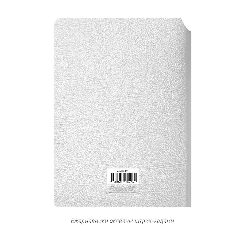 Ежедневник Molto недатированный