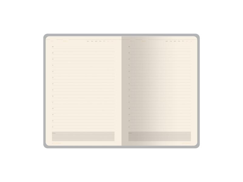 Ежедневник недатированный А5 Status