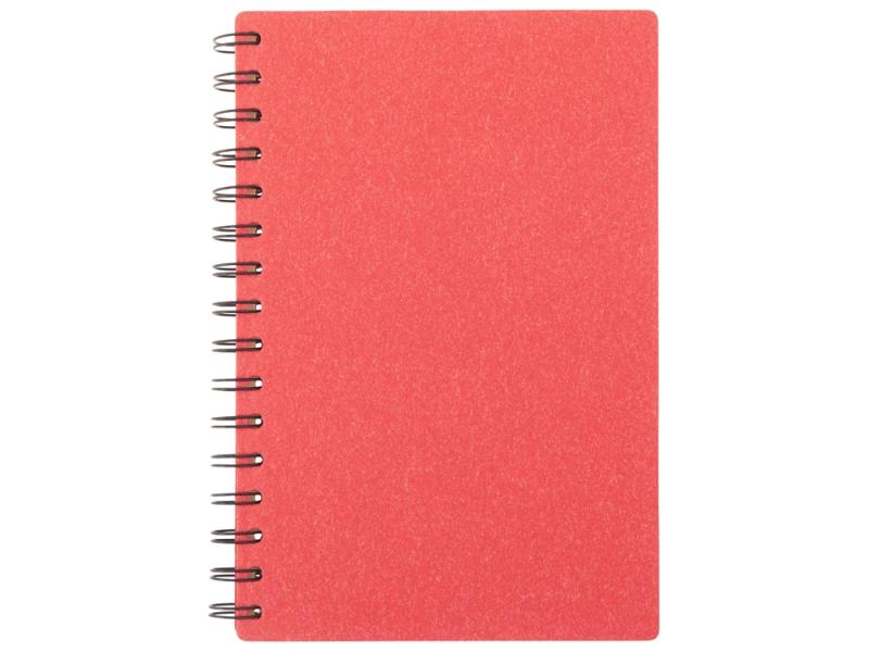 Блокнот А5 на спирали Mania