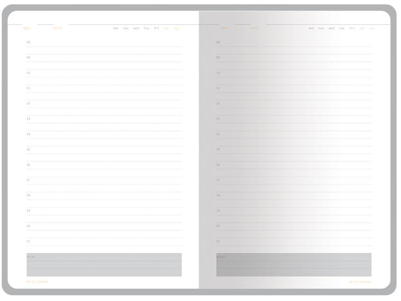 Ежедневник недатированный А5 Mercury