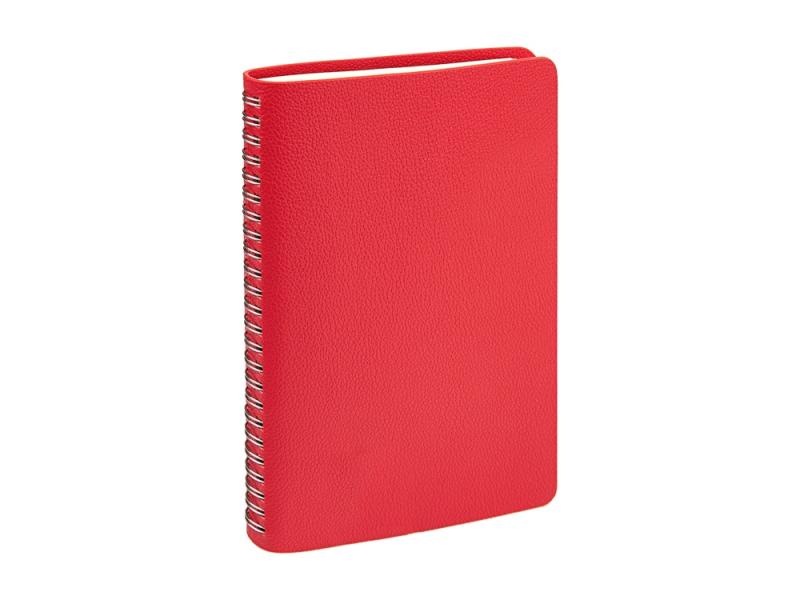 Ежедневник недатированный А5 Alba