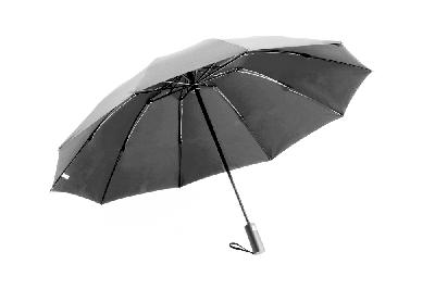 Зонт складной автоматический с плавным закрытием Forest Sunderland Reverse,  диаметр 117 см, 10 панелей,  в подарочной коробке