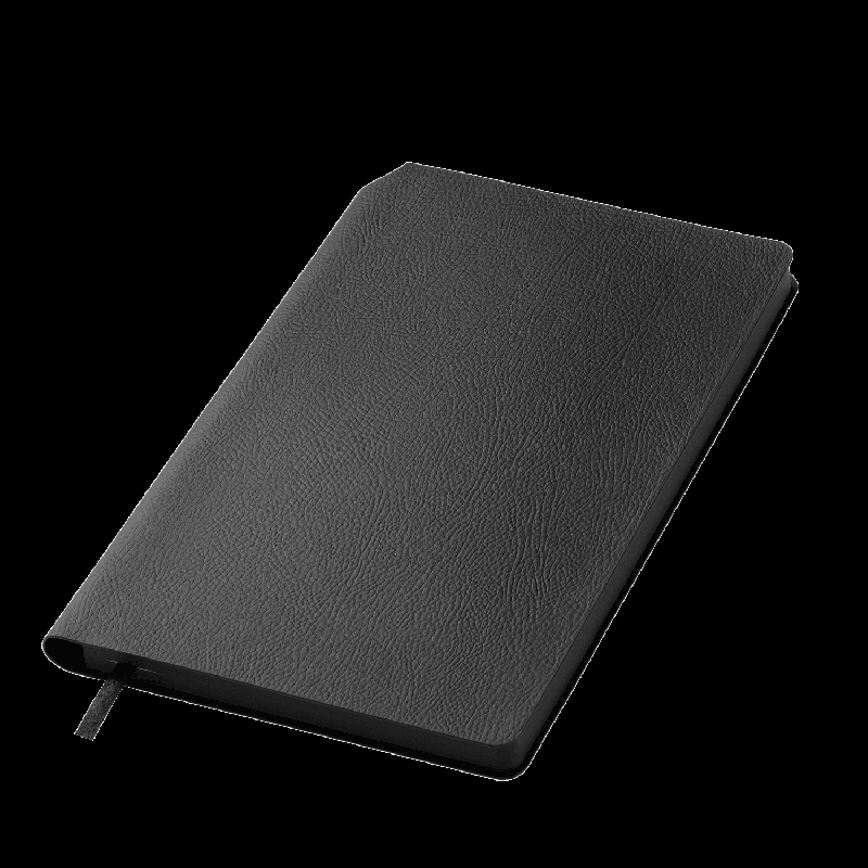 Ежедневник Molto недатированный