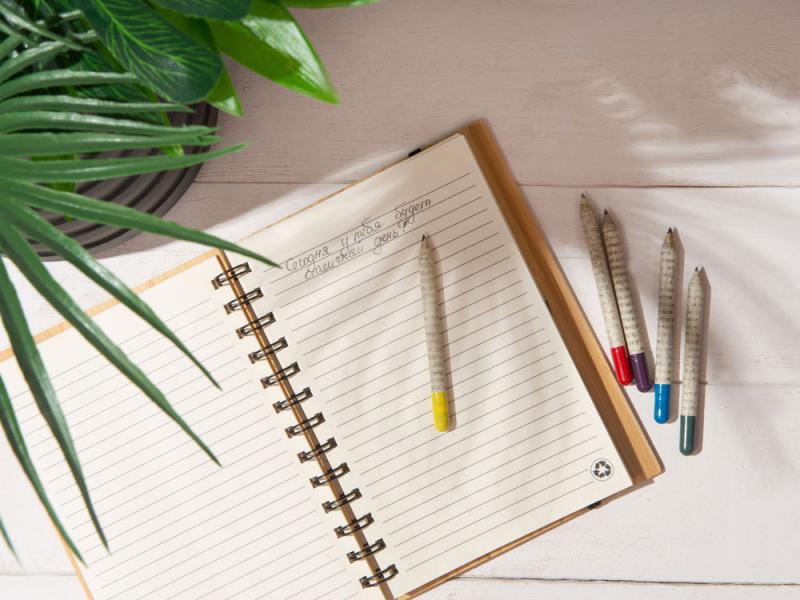 Растущий карандаш mini с семенами базилика