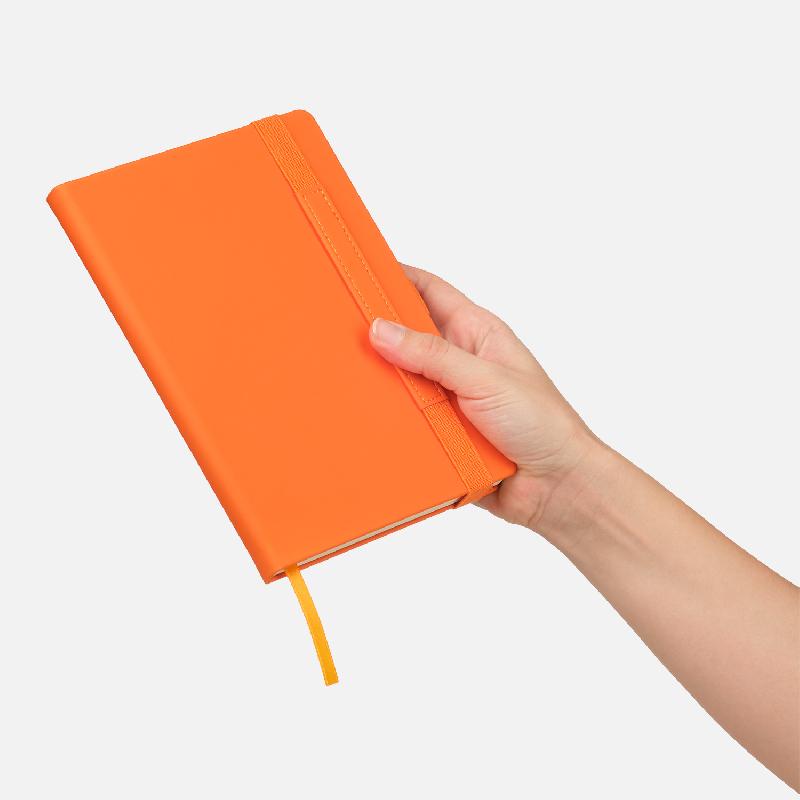 Ежедневник Alpha недатированный, 