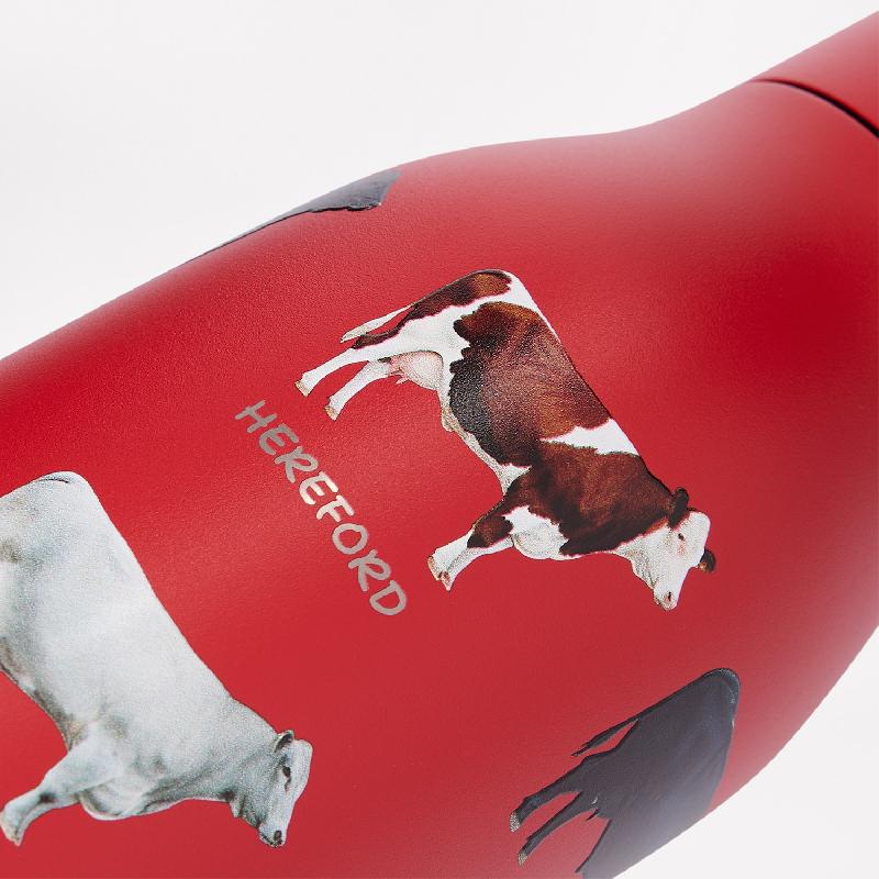 Термобутылка вакуумная герметичная Севилла (Sevilla)