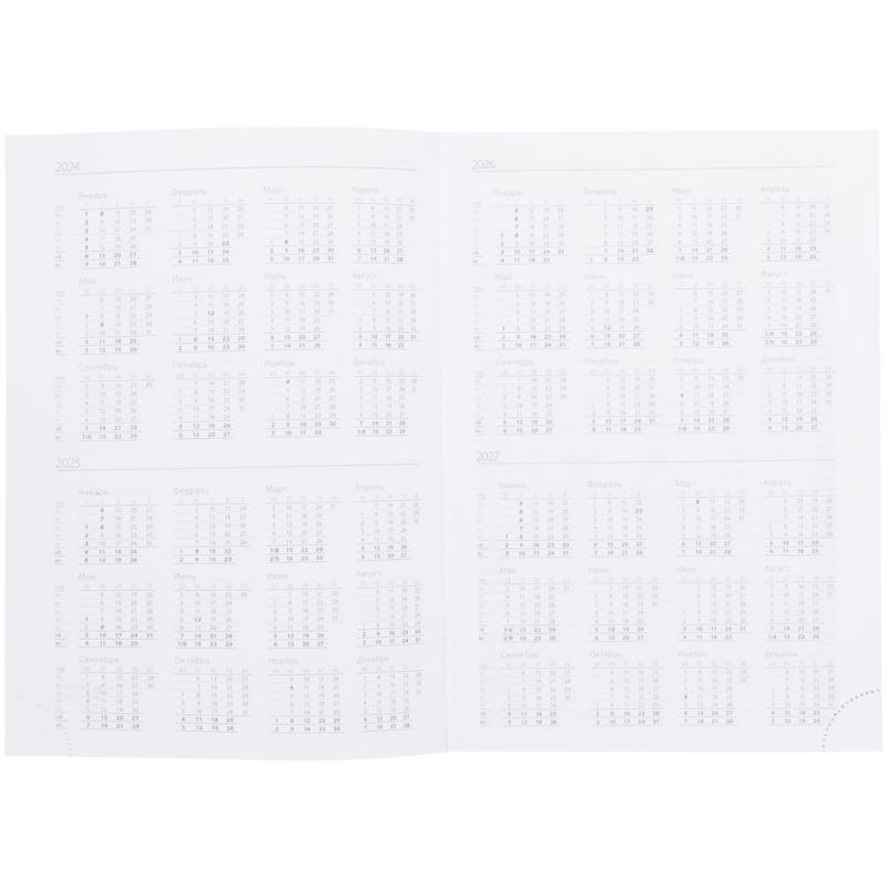 Ежедневник Vivian Metal, недатированный