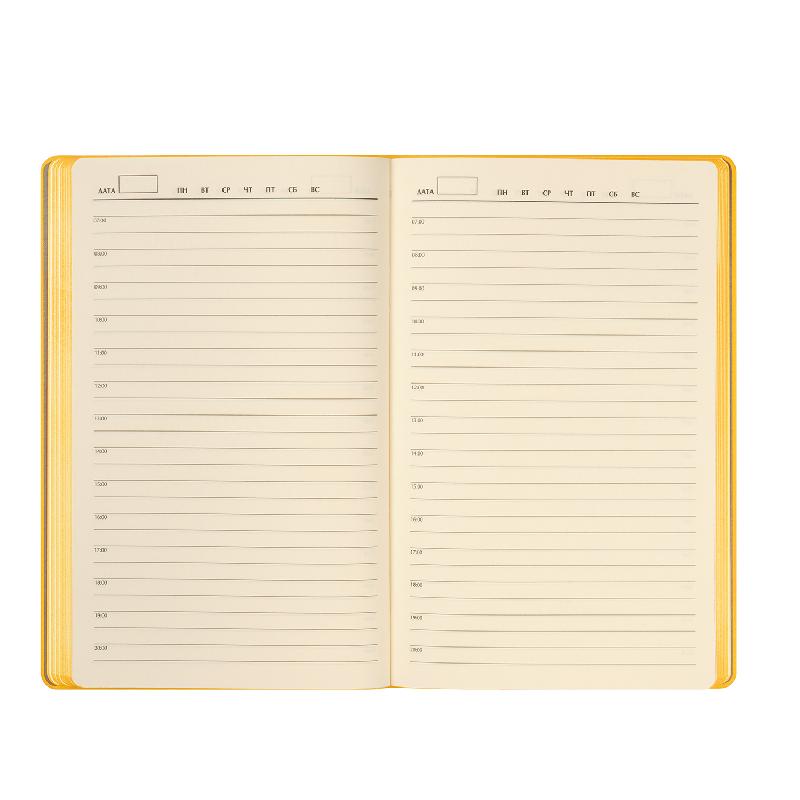 Ежедневник Рейн (Rain) недатированный,  (без упаковки, без стикера)