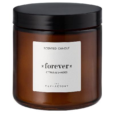 Свеча ароматическая the olphactory, forever, citrus&shades, 60 ч