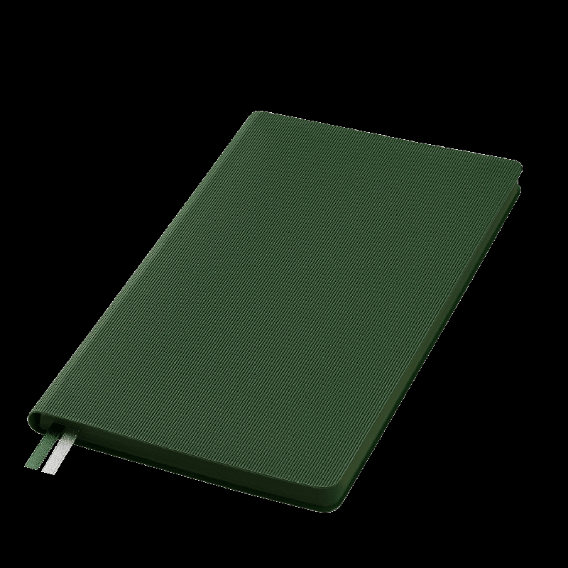 Ежедневник Rain недатированный