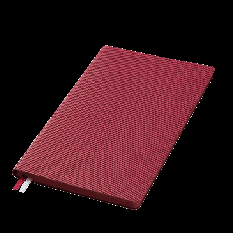 Ежедневник Рейн (Rain) недатированный,  (без упаковки, без стикера)