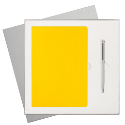 Подарочный набор Rain,  (ежедневник, ручка)