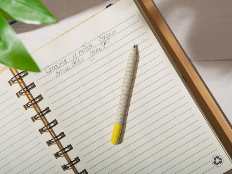 Растущий карандаш mini с семенами акации серебристой