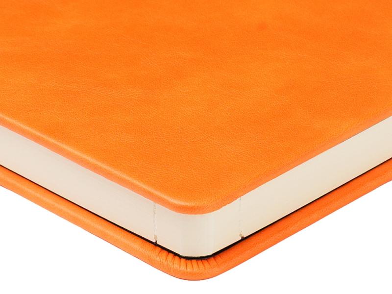 Ежедневник недатированный А5 Premier