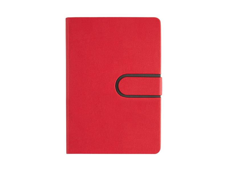 Ежедневник недатированный А5 Status