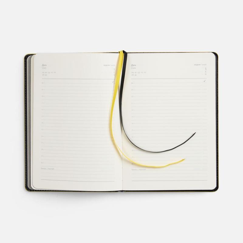 Ежедневник Alanis, недатированный