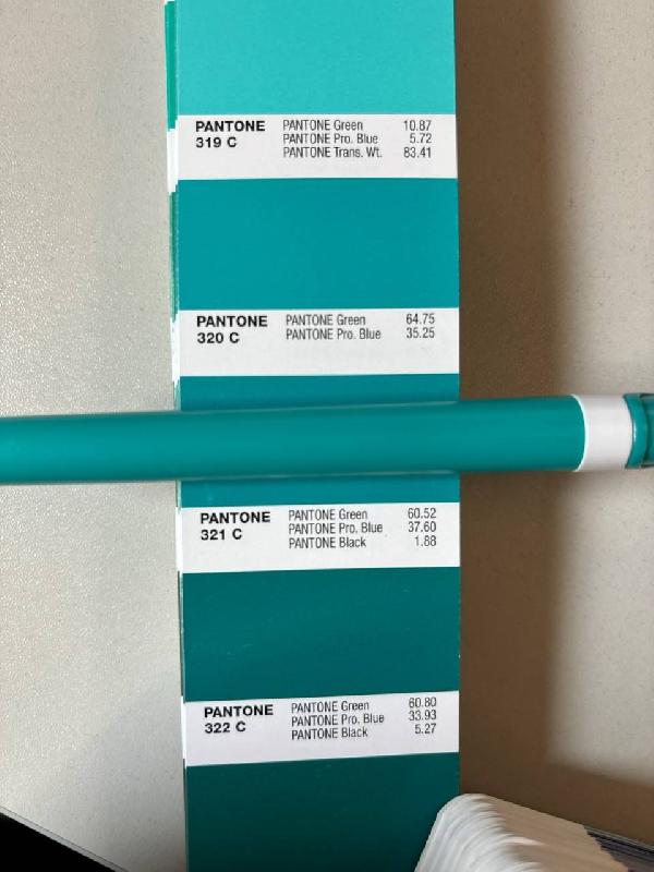 Ручка шариковая пластиковая Ravena Color