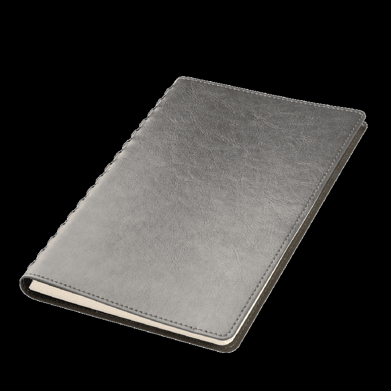 Ежедневник Vista Neo недатированный