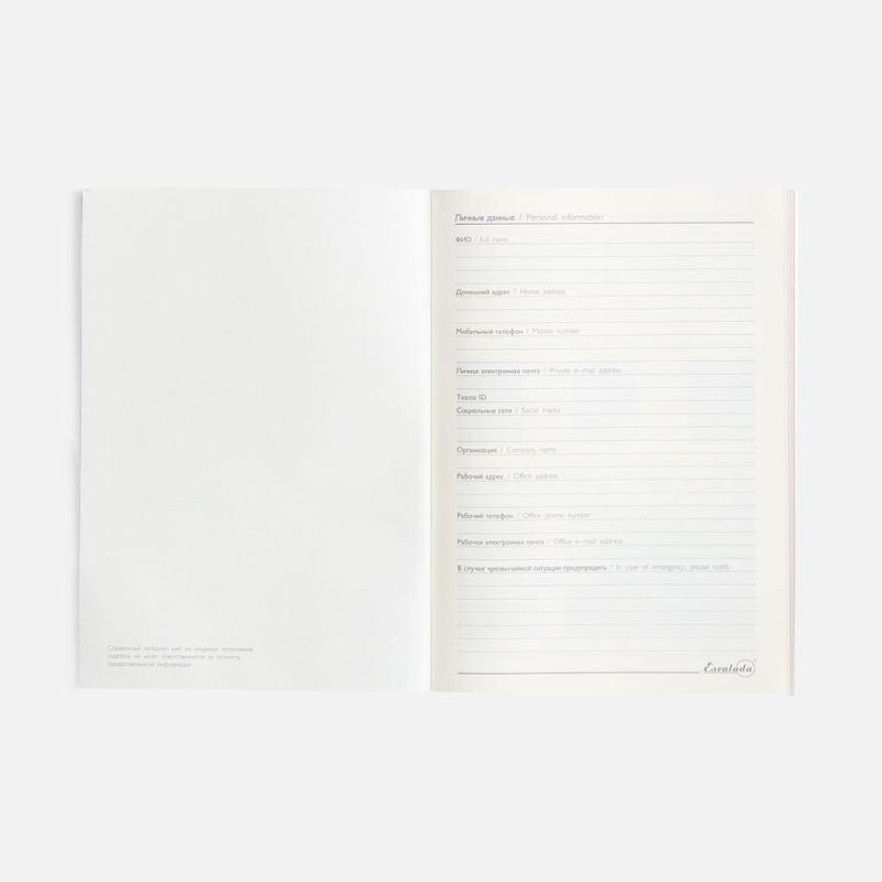 Ежедневник Repute, недатированный