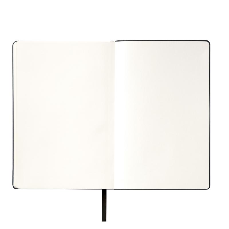 Ежедневник Spark недатированный,  (с упаковкой, со стикерами)