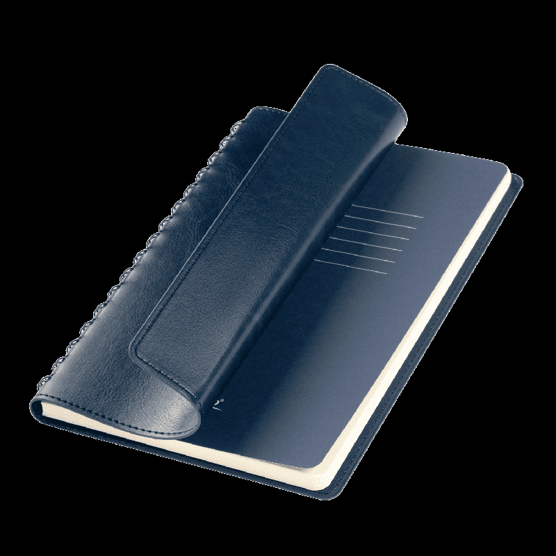 Ежедневник Vista Neo недатированный