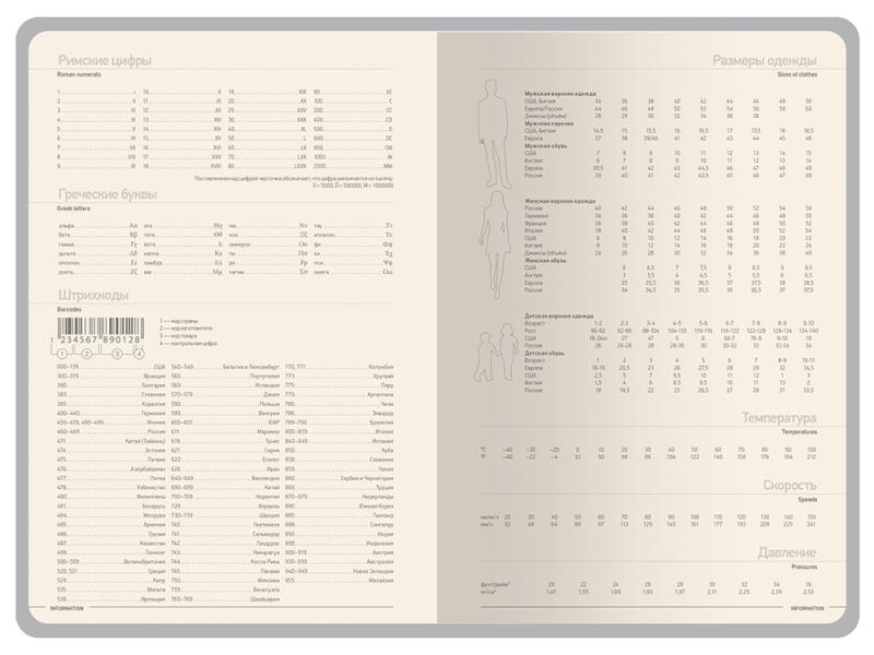 Ежедневник А5 датированный Megapolis Color на 2026 год