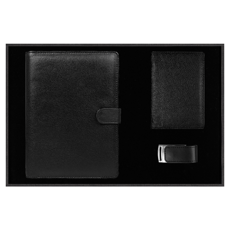 Набор подарочный Solution Prestige Quadro (Блокнот Alfa Polo Line в суперобложке Country Leather Sky, обложка для автодокументов Leather Sun, флеш накопитель Shine, USB 2.0 32GB)