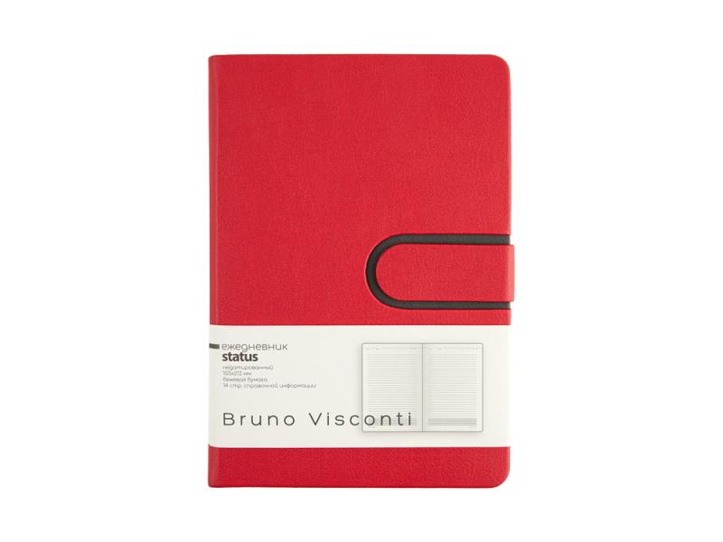 Ежедневник недатированный А5 Status