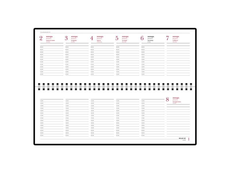 Планинг датированный Ideal New на 2025 год